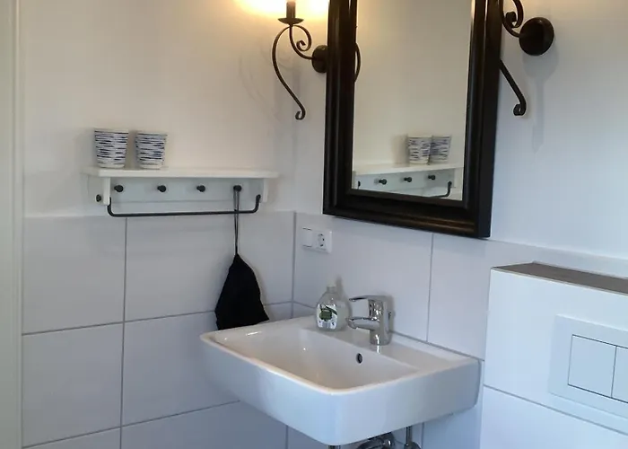 Bachstelze * Neue Tiefe Fehmarn